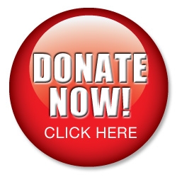 3peaks/donate-now-button.jpg