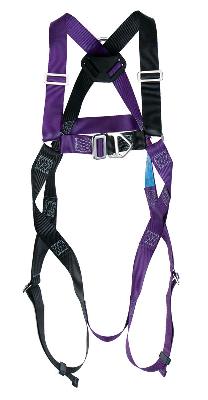 RGH2 Harness