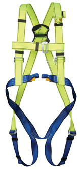 GForce P30 Harness